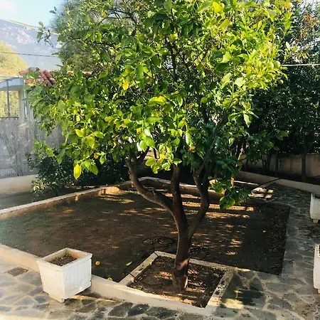 Villa Mare Loutráki